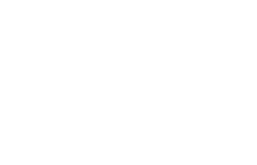 logo edynamic footer